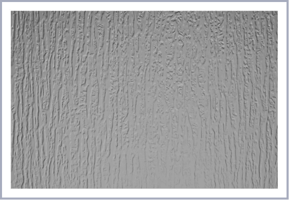 Rain / Seeded
