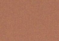 Copper Penny
